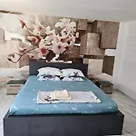 Casa Andreea Case de vacanță *