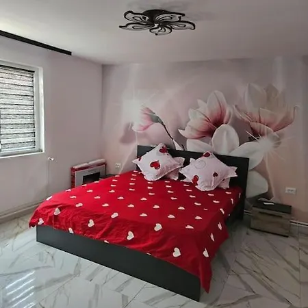 Casa Andreea Holiday home