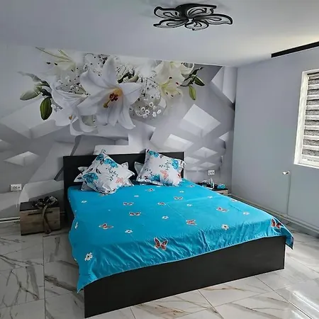 Casa Andreea Holiday home Corbu (Constanta)