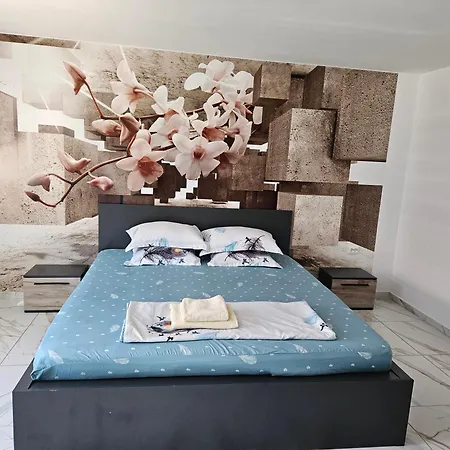 Casa Andreea Holiday home *