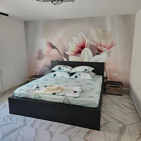 Holiday home Casa Andreea Corbu (Constanta)