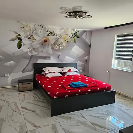 Casa Andreea *